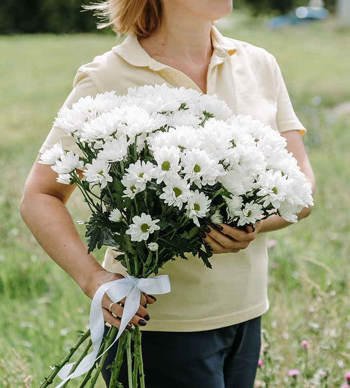 Купить Букет белых хризантем с доставкой по Магнитогорску