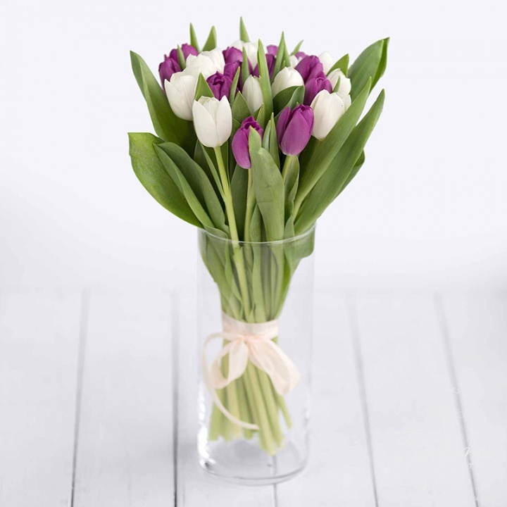 Купить 21 фиолетово-белый тюльпан с доставкой по Магнитогорску