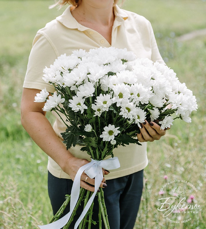 Купить Букет белых хризантем с доставкой по Магнитогорску