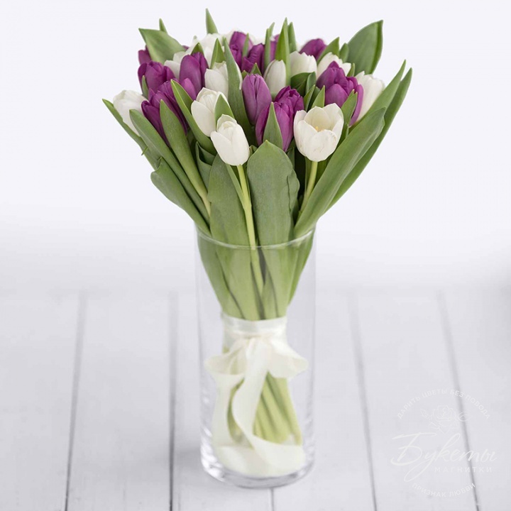 Купить 31 фиолетово-белый тюльпан с доставкой по Магнитогорску
